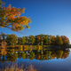 Illustration for article titled 76 Stunning Photos Of Fall Leaves